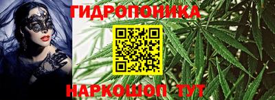 PSILOCYBIN Камышлов