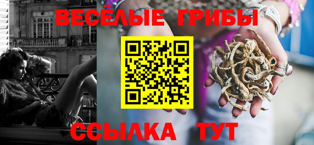 Псилоцибиновые грибы Psilocybe  Вход с VPN  Лабинск 